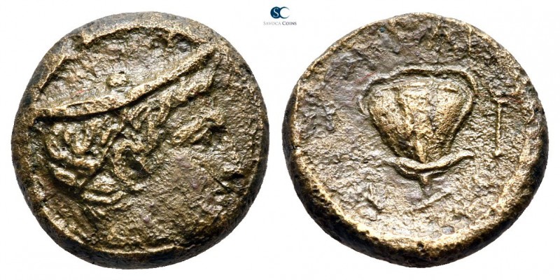 Macedon. Tragilos circa 380-300 BC. 
Bronze Æ

15 mm., 3,24 g.



nearly ...