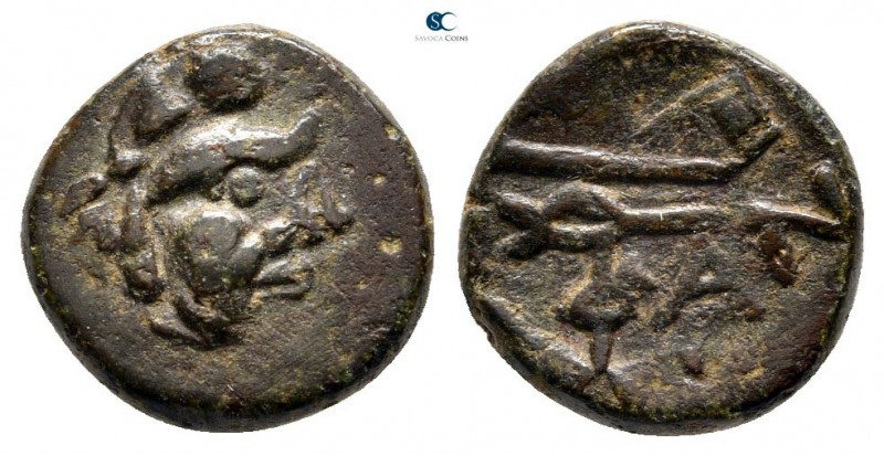 The Tauric Chersonese. Pantikapaion 304-250 BC. 
Bronze Æ

13 mm., 1,93 g.
...
