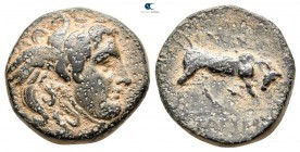 Seleukid Kingdom. Sardeis. Seleukos I Nikator 312-281 BC. Bronze Æ