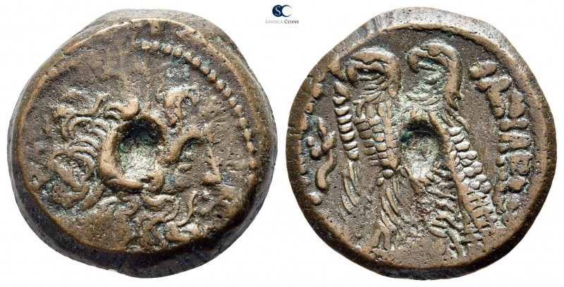 Ptolemaic Kingdom of Egypt. Alexandria. Ptolemy VI Philometor & Ptolemy VIII Eue...