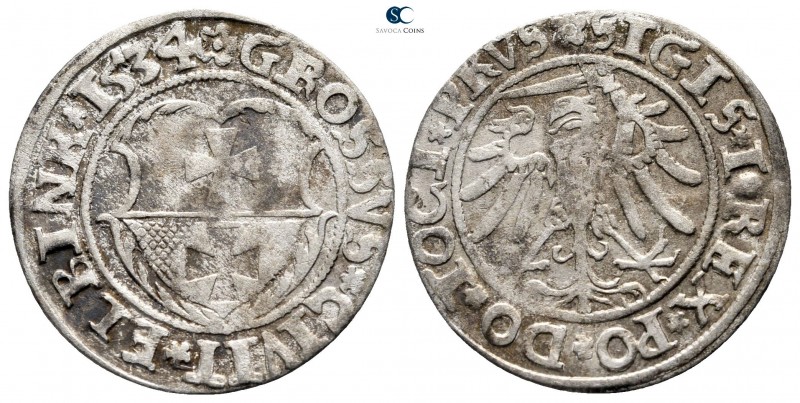 Poland. Prusy (Prussia). Elblag (Elbing). Zygmunt I Stary (the Old) AD 1506-1548...