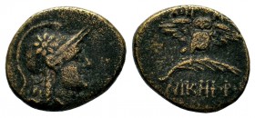 MYSIA. Pergamon. Ae (Circa 133-27 BC).
Condition: Very Fine

Weight: 2,72 gr
Diameter: 14,40 mm