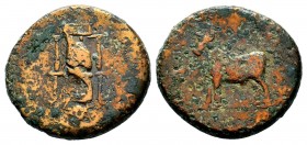 Greek Coins. Ae (2nd century BC).
Condition: Very Fine

Weight: 12,51 gr
Diameter: 23,80 mm