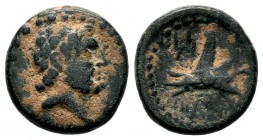 PHOENICIA. Arados. Ae (Circa 350-332 BC).
Condition: Very Fine

Weight: 3,83 gr
Diameter: 16,00 mm