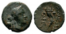 Cilicia, Soloi Æ20. Circa 100-30 BC. 
Condition: Very Fine

Weight: 4,11 gr
Diameter: 16,35 mm
