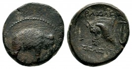 SELEUKID KINGDOM. (246-225 BC). Ae. 
Condition: Very Fine

Weight: 8,07 gr
Diameter: 20,60 mm