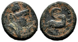 SELEUKID KINGDOM. (246-225 BC). Ae. 
Condition: Very Fine

Weight: 5,73 gr
Diameter: 19,65 mm