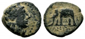 SELEUKID KINGDOM. (246-225 BC). Ae. 
Condition: Very Fine

Weight: 2,44 gr
Diameter: 13,60 mm