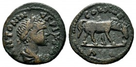 Elagabalus (218-222). Troas, Alexandria. Æ
Condition: Very Fine

Weight: 7,01 gr
Diameter: 23,00 mm