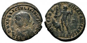 Licinius I (308-324 AD). AE Follis
Condition: Very Fine

Weight:2,72 gr
Diameter: 19,22mm
