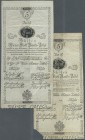 Austria / Österreich. pair of the 5 Gulden Wiener-Stadt-Banco-Zettel 1800, P.A31, one in Fine condition with some folds and stains, the other one in w...
