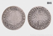 Königreich Polen, Sigismund I. (1506-1548), Groschen 1533, Thorn, Prägung für das Herzogtum Westpreußen. Vs. Bekrönte und gepanzerte Büste nach rechts...