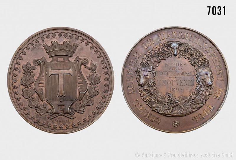 Frankreich, Toul, Bronzene Preismedaille 1895 der Landwirtschaftskammer Toul, vo...