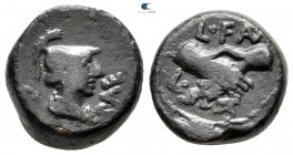 Lucania. Paestum (Poseidonia) circa 90-44 BC. Bronze Æ