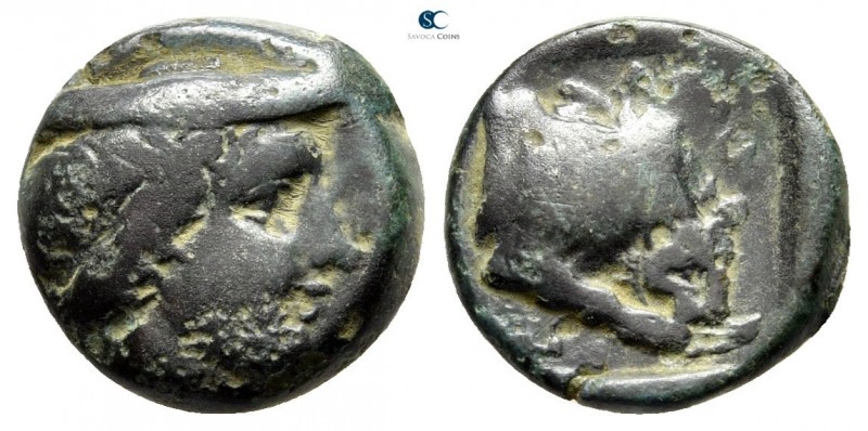 Kings of Macedon. Aeropos 398-395 BC. 
Dichalkon Æ

11 mm., 1,99 g.

Male h...