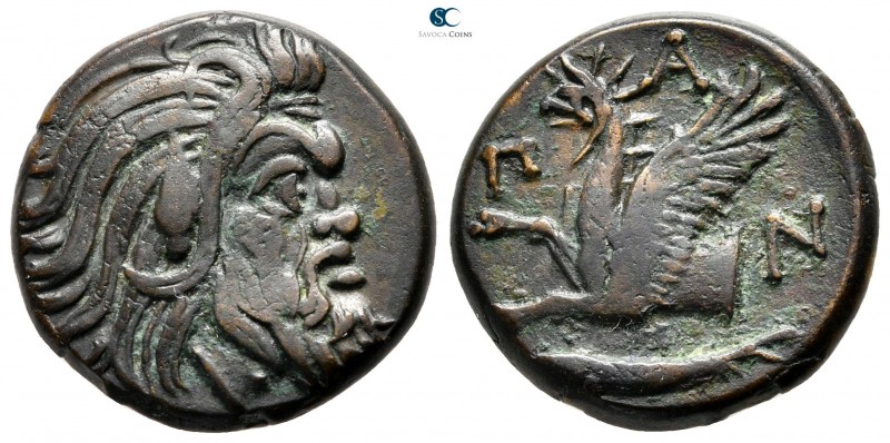 The Tauric Chersonese. Pantikapaion circa 310-304 BC. 
Bronze Æ

21 mm., 7,18...