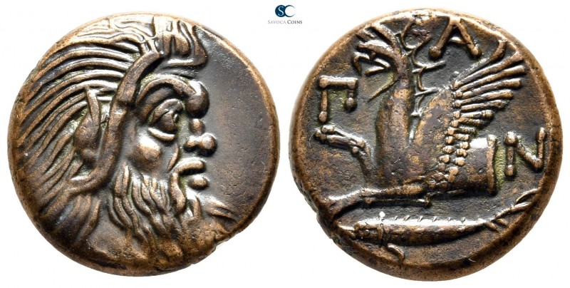 The Tauric Chersonese. Pantikapaion circa 310-304 BC. 
Bronze Æ

20 mm., 6,34...