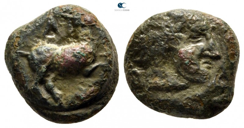 Akarnania. Palairos circa 400-300 BC. 
Drachm Æ

13 mm., 3,31 g.

Horse rig...