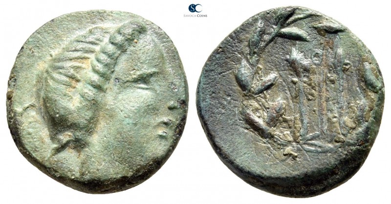 Islands off Elis. Zakynthos circa 200-0 BC. 
Bronze Æ

15 mm., 3,19 g.

Hea...