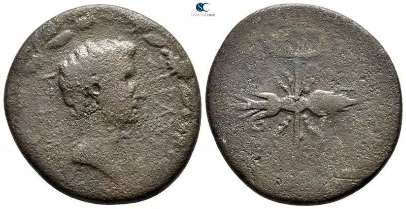 Epeiros. Nicopolis. Augustus 27 BC-AD 14. 
Bronze Æ

32 mm., 14,73 g.

[ΚΤΙ...