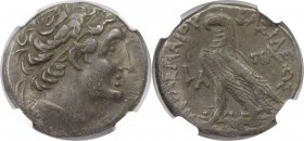 AR Tetradrachme 81 / 0 v. Chr 
Griechische Münzen, AEGYPTUS. Ptolemäus XII. Neos Dionysos, 80-51 v. Chr. AR Tetradrachme, Jahr 1 (ca. 81/0 v. Chr.), ...
