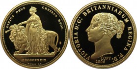 Medal 2006 
Europäische Münzen und Medaillen, Großbritannien / Vereinigtes Königreich / UK / United Kingdom. Medal 2006. Polierte Platte