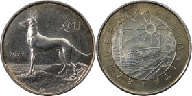 1 Pound 1977 
Europäische Münzen und Medaillen, Malta. Malteser Hund. 1 Pound 1977, Silber. 0.16 OZ. KM 45. Stempelglanz