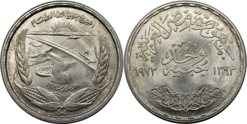 1 Pound 1973 
Weltmünzen und Medaillen, Ägypten / Egypt. Assuan-Staudamm. 1 Pou...