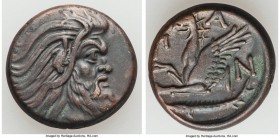 CIMMERIAN BOSPORUS. Panticapaeum. Ca. 4th century BC. AE (21mm, 6.91 gm, 3h). XF. Head of bearded Pan right / Π-A-N, forepart of griffin left, sturgeo...