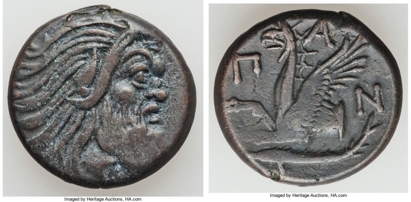 CIMMERIAN BOSPORUS. Panticapaeum. Ca. 4th century BC. AE (20mm, 6.93 gm, 11h). X...