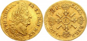 France Louis D'or 1695 A
KM# 302.1; Gold 6,63g.; &#1113088;Louis XIV; Mint: Paris