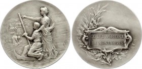 France Medal "Comice Agricole de Montargis" 
Silver 36.89g 41.5mm; Ad, J. Rasumny