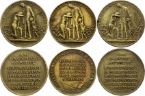 Germany - Weimar Republic Lot of 3 Medals People Ordeal / Inflation of 1923 
Des Deutschen Volkes Leidensweg