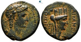 Seleucis and Pieria. Apameia. Augustus 27 BC-AD 14. Bronze Æ