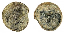 ORIPPO. As. A/ Cabeza masculina a izq., delante racimo de uvas. R/ Toro arrodillado a izq., debajo entre líneas ORIPENSE, en exergo B. AE 27,56 g. CNH...