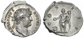 ADRIANO. Denario. Roma (125-128). R/ Genius de pie a izq. con cornucopia y vaciando pátera sobre altar; COS III. RIC-173. EBC+/EBC.