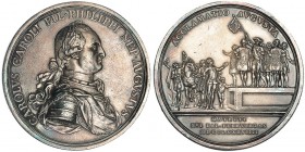 Medalla Proclamación. 1789. Madrid. AR. 55,5 mm. Grabador: Sepúlveda. H-62. MPN-145. Pátina gris. EBC.