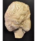 ROMA. Cabeza. Siglo I-II d.C. Perfil de Afrodita. Mármol. Altura 17,0 cm. Cuello restaurado. Incluye soporte.