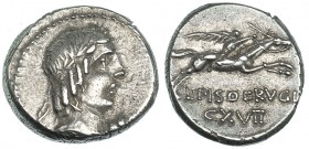 CALPURNIA. Denario. Roma (90-89 a.C.). R/ Jinete con palma a der.; debajo, L.PISO FRVGI y número CXVII. FFC-252. SB-11. Flan pequeño. MBC+.