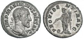 MAXIMINO I. Denario. Roma (235-236). R/ PROVIDENTIA AVG. RIC-13. EBC.