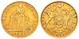 Chile. 10 pesos. 1855. Santiago. (Km-131). Au. 15,22 g. Minor nick on edge. Scarce. Beautiful color. Choice VF. Est...520,00.