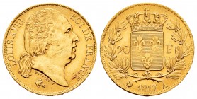 France. Louis XVIII. 20 francos. 1817. Paris. A. (Km-712.1). (Fr-538). (Gad-1028). Au. 6,48 g. Rayitas de acuñación. AU. Est...250,00.