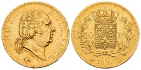France. Louis XVIII. 40 francos. 1816. Paris. A. (Km-713.1). (Fr-532). (Gad-1092). Au. 12,91 g. Minor nicks on edge. Choice VF. Est...520,00.