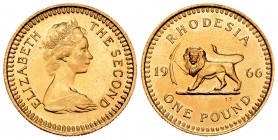 Southern Rhodesia. 1 libra. 1966. Colonia Britannica. (Km-6). (Fried-2). Au. 7,97 g. UNC. Est...320,00.