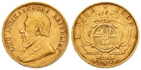 South Africa. 1 libra. 1895. (Km-10.2). (Fried-2). Au. 7,95 g. Choice VF. Est...300,00.