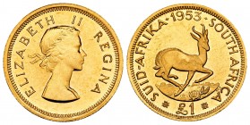 South Africa. 1 libra. 1953. (Km-54). (Fried-9). Au. 8,00 g. UNC. Est...300,00.