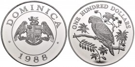Dominica. 100 dollars. 1988. (Km-21). Ag. 126,60 g. PR. Est...80,00.