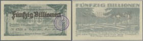 Deutschland - Notgeld - Württemberg. Freudenstadt und Baiersbronn, Stadtgemeinde und Gemeinde, 50 Billionen Mark, 10.11.1923, mit Stempel, Erh. II