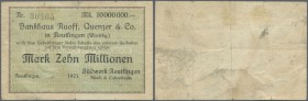 Deutschland - Notgeld - Württemberg. Reutlingen, Südwerk Reutlingen Rüedi & Eichenbaum, 10 Mio. Mark, o. D. (1923 gedruckt), Scheck auf Bankhaus Ruoff...