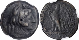 PTOLEMAIC EGYPT. Ptolemy II Philadelphos, 285-246 B.C. AE Obol (12.32 gms), Alexandreia Mint, Mid-late 260s-246 B.C. NGC Ch F, Strike: 4/5 Surface: 4/...